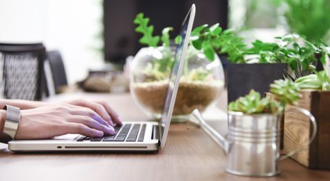 業務効率改善 快適なデスクワーク環境をつくる 観葉植物 8選 Web担当者の活用帖 ナレッジ デポ 業務効率改善 快適なデスクワーク環境をつくる 観葉植物 8選 Web担当者の活用帖 ナレッジ デポ