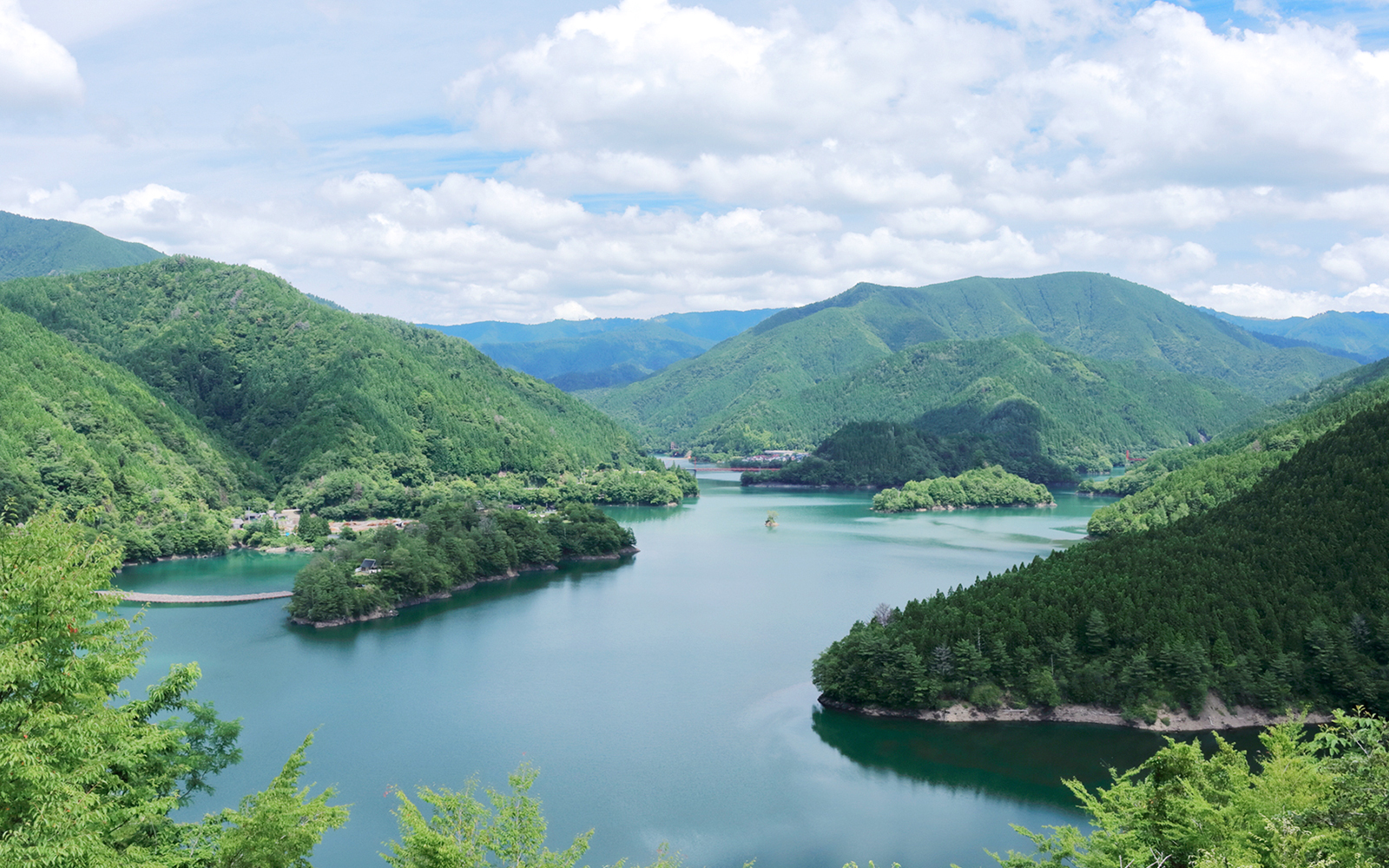 高知県の山奥にある小さな村「馬路村」